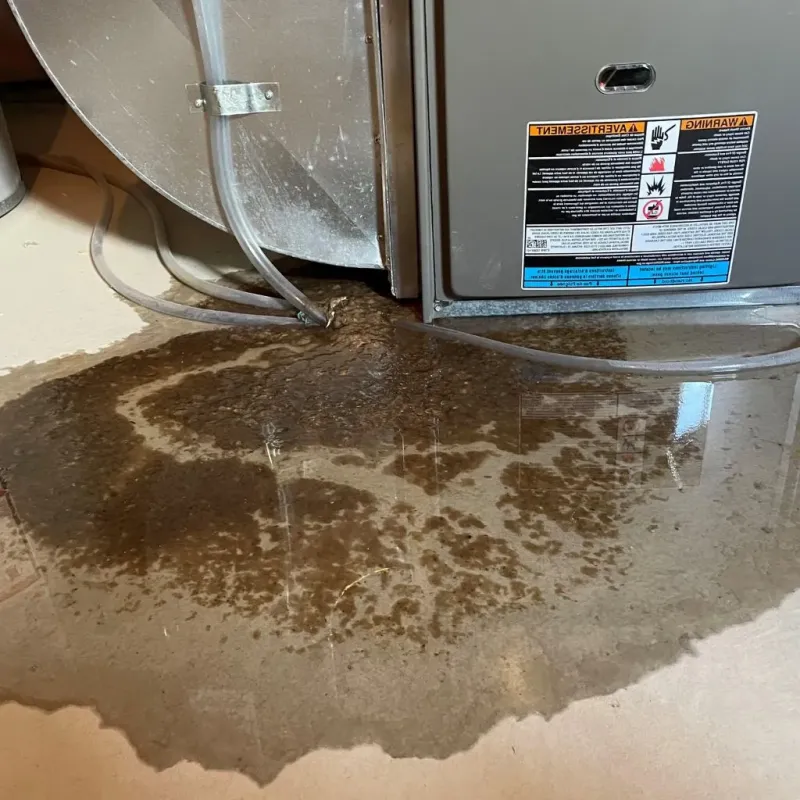 Pipe Burst and Leak Restoration in City of Baltimore, MD