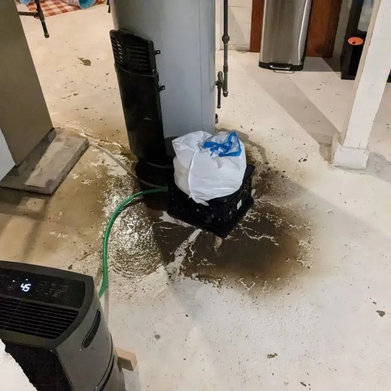 Sewage Backup Cleanup Service in City of Baltimore, MD